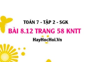 Bài 8.12 trang 58 Toán 7 Tập 2 Kết nối tri thức